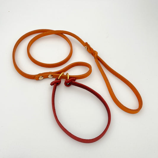 Hundesport Schlupf-Leine "Elsa"