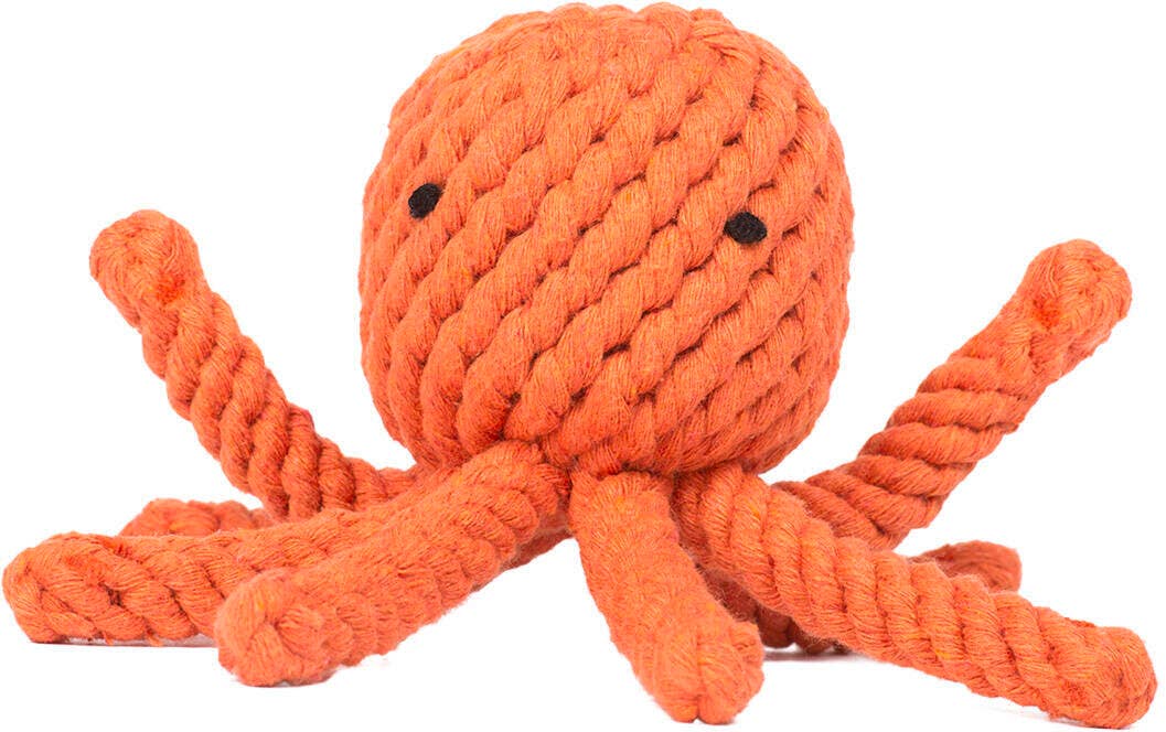 THADDÄUS TINTENFISCH